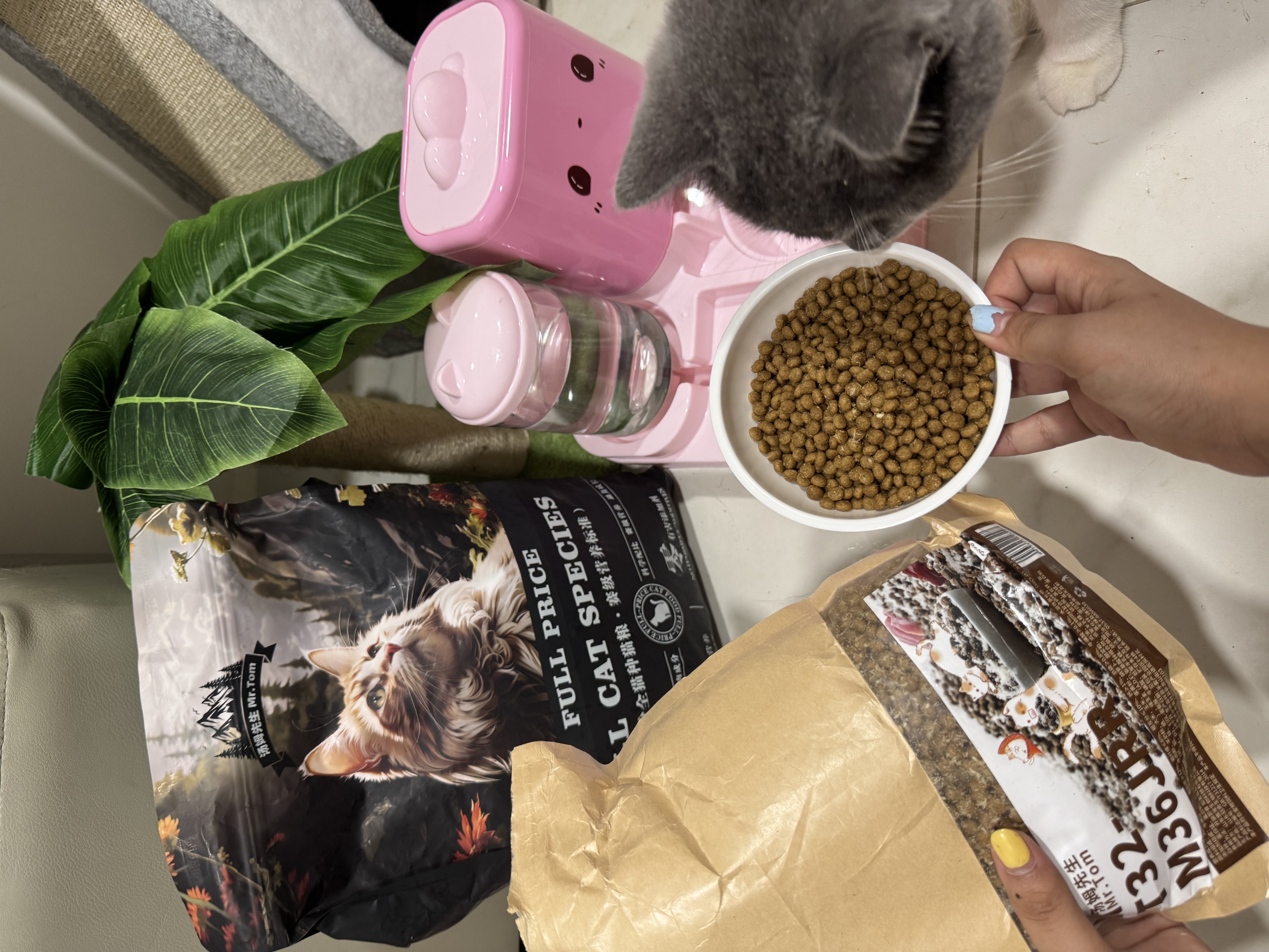 Mr.Tom Dry Food 2.5kg 2