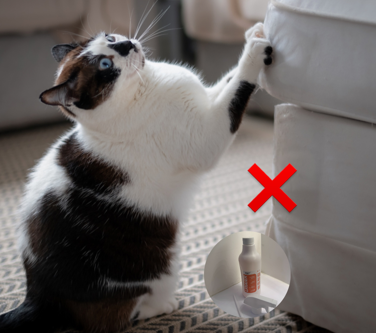 Anti-Marking Spray 500ml 2