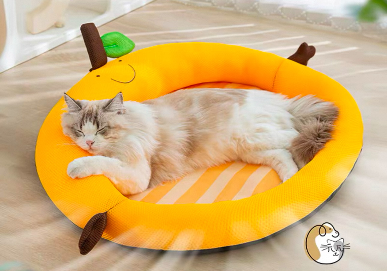 Yellow Pet Bed