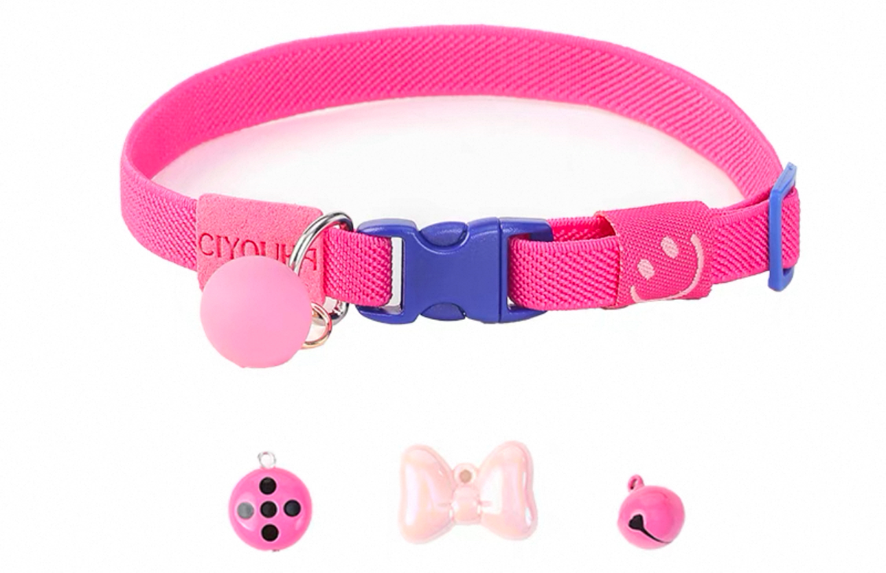 Cat Collar DIY