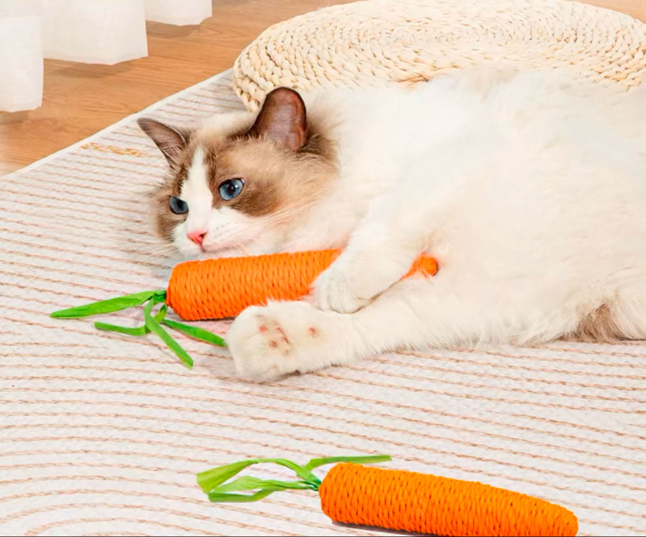 Carrot Toy