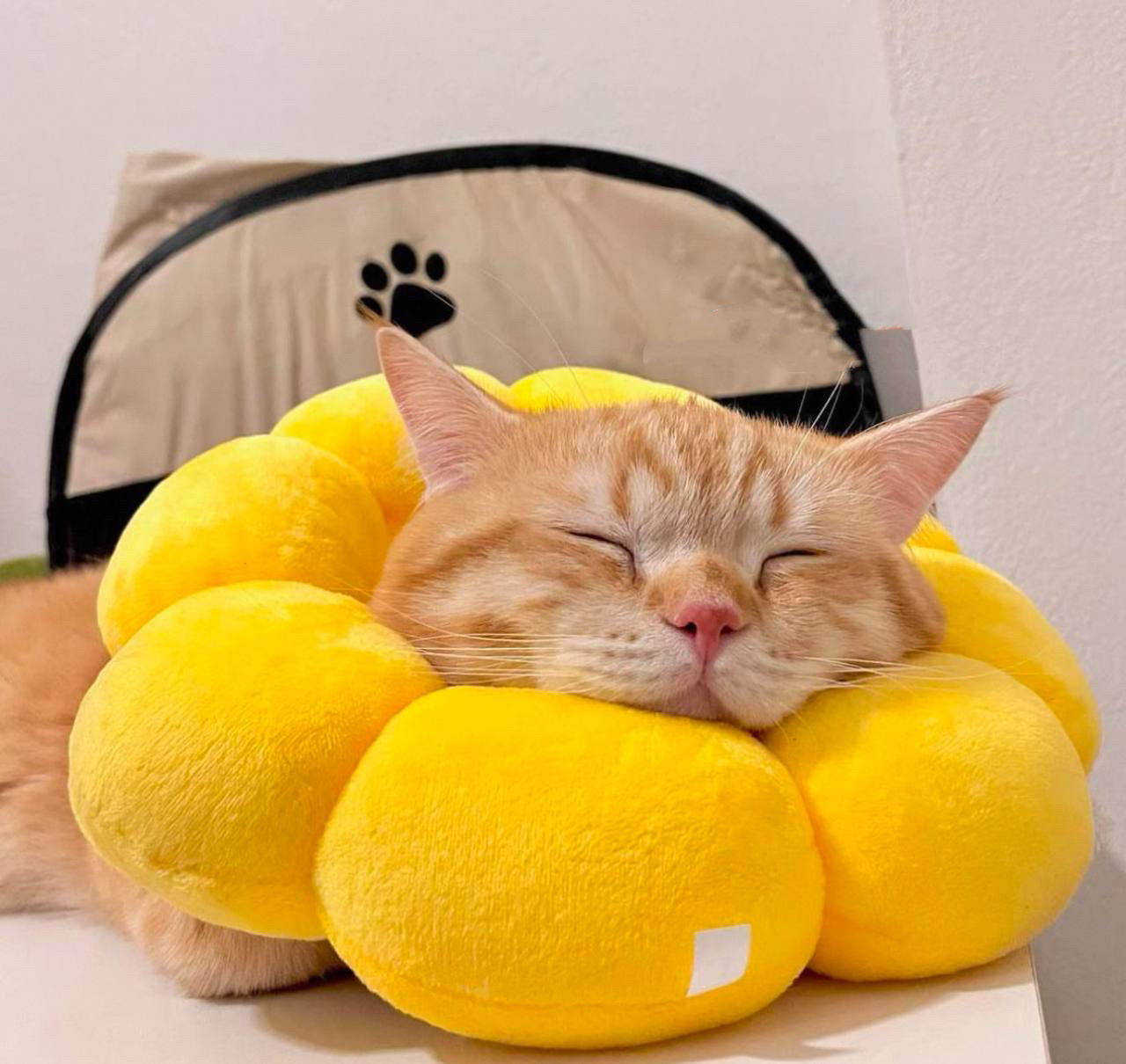 Cat Neck Pillow