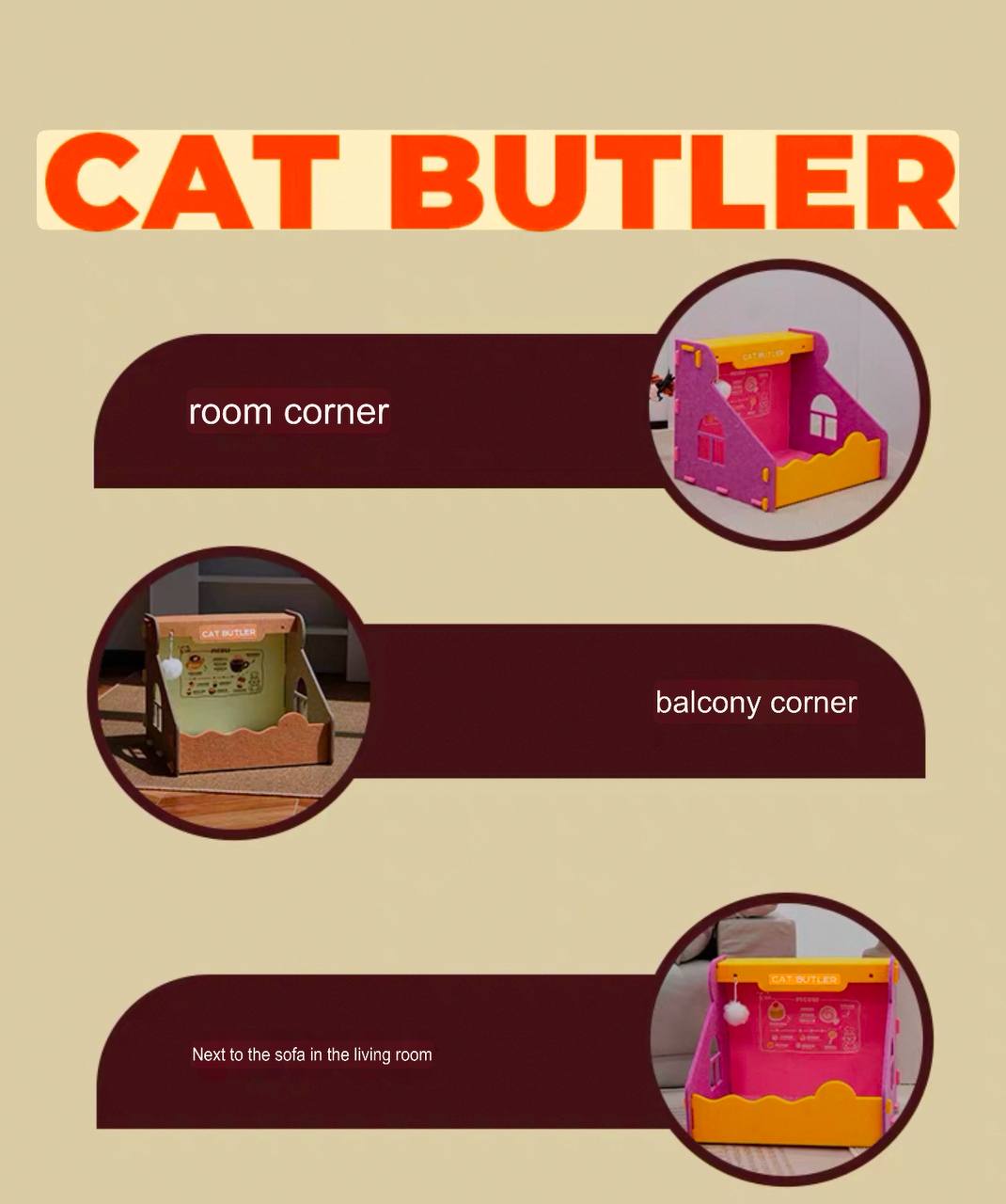 Cat Butler 2